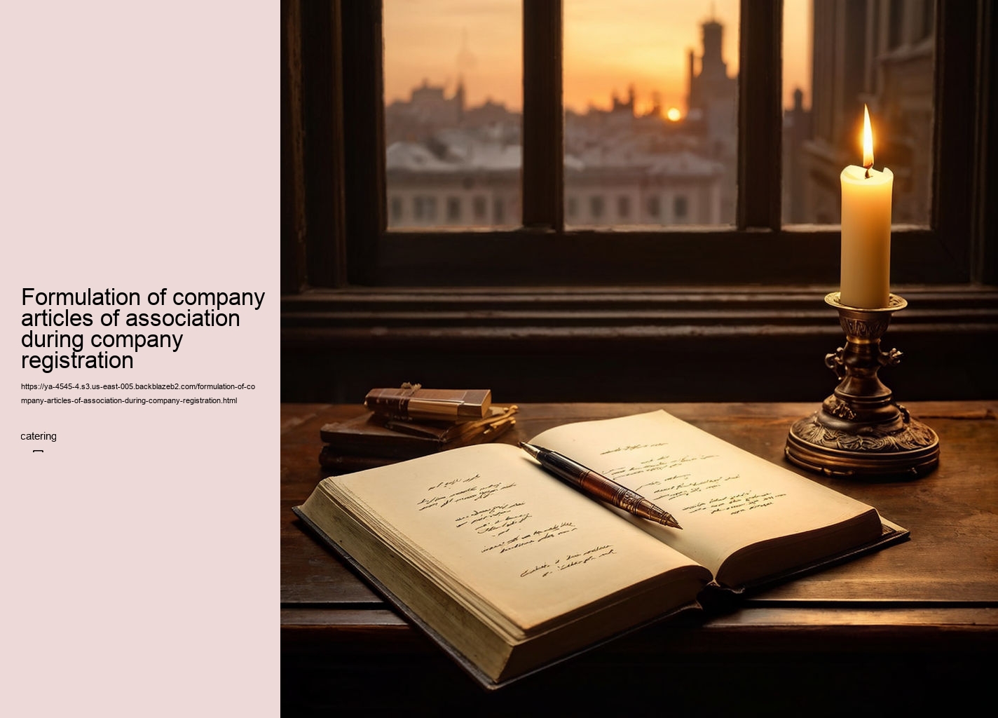 Formulation of company articles of association during company registration